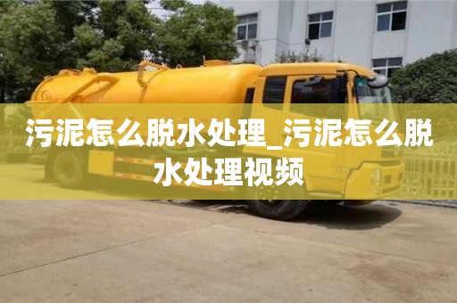 合肥污泥怎么脫水處理_污泥怎么脫水處理視頻