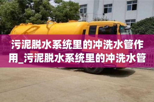 合肥污泥脫水系統里的沖洗水管作用_污泥脫水系統里的沖洗水管作用不包括