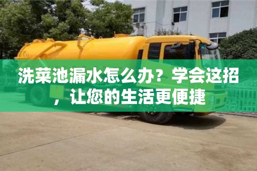 洗菜池漏水怎么辦?學會這招,讓您的生活更便捷 洗菜池漏水怎么辦?學會這招,讓您的生活更便捷