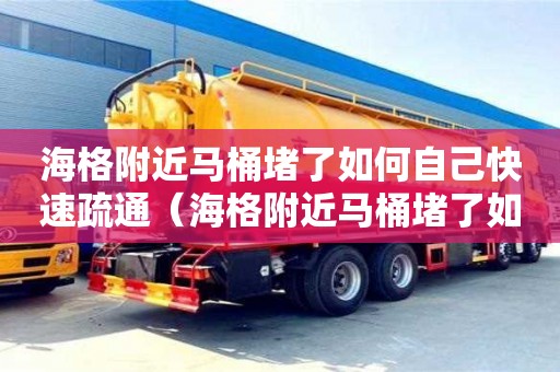 海格附近馬桶堵了如何自己快速疏通（海格附近馬桶堵了如何自己快速疏通下水）