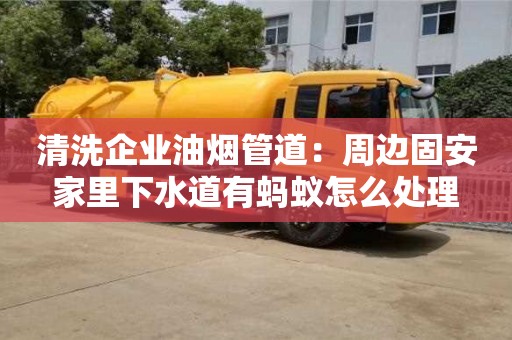 杭州清洗企業(yè)油煙管道：周邊固安家里下水道有螞蟻怎么處理
