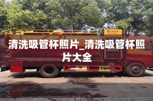 清洗吸管杯照片_清洗吸管杯照片大全