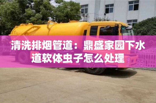 清洗排煙管道：鼎盛家園下水道軟體蟲子怎么處理