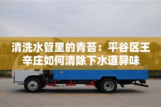杭州清洗水管里的青苔：平谷區王辛莊如何清除下水道異味