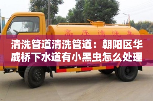 清洗管道清洗管道：朝陽區華威橋下水道有小黑蟲怎么處理