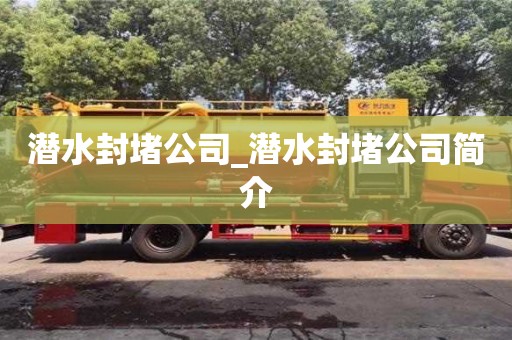 成都潛水封堵公司_潛水封堵公司簡介