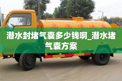 南昌潛水封堵氣囊多少錢啊_潛水堵氣囊方案