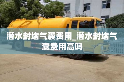 石家莊潛水封堵氣囊費用_潛水封堵氣囊費用高嗎