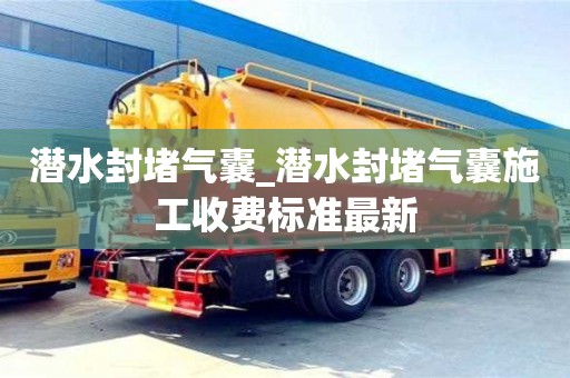 石家莊潛水封堵氣囊_潛水封堵氣囊施工收費標準最新