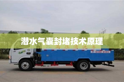 杭州潛水氣囊封堵技術原理