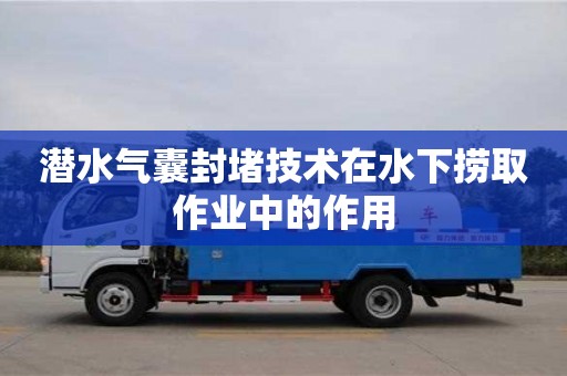 北京潛水氣囊封堵技術(shù)在水下?lián)迫∽鳂I(yè)中的作用