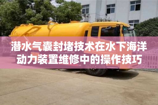 杭州潛水氣囊封堵技術在水下海洋動力裝置維修中的操作技巧