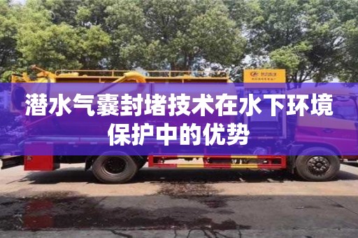 杭州潛水氣囊封堵技術在水下環境保護中的優勢