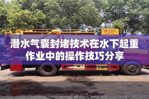 杭州潛水氣囊封堵技術在水下起重作業中的操作技巧分享