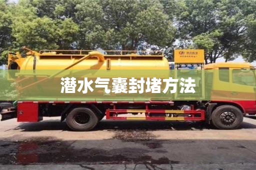 成都潛水氣囊封堵方法