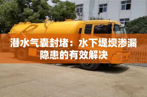 潛水氣囊封堵：水下堤壩滲漏隱患的有效解決