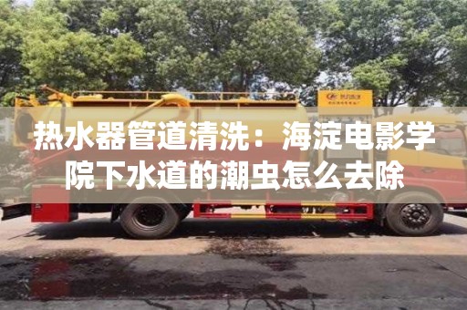 杭州熱水器管道清洗：海淀電影學院下水道的潮蟲怎么去除