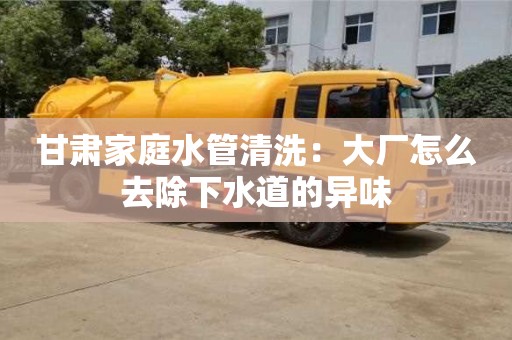 甘肅家庭水管清洗：大廠怎么去除下水道的異味