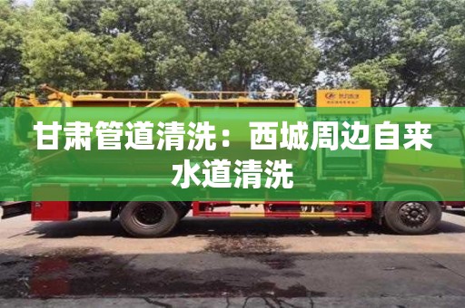 甘肅管道清洗：西城周邊自來水道清洗