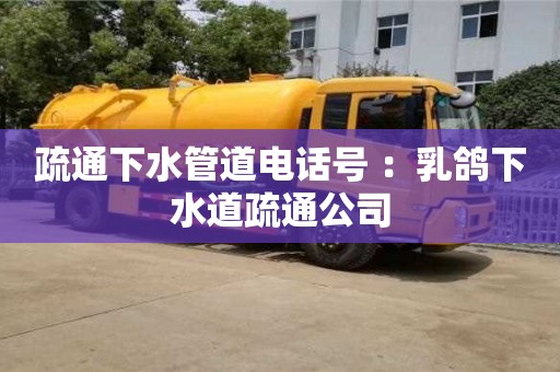 杭州疏通下水管道電話號 ：乳鴿下水道疏通公司
