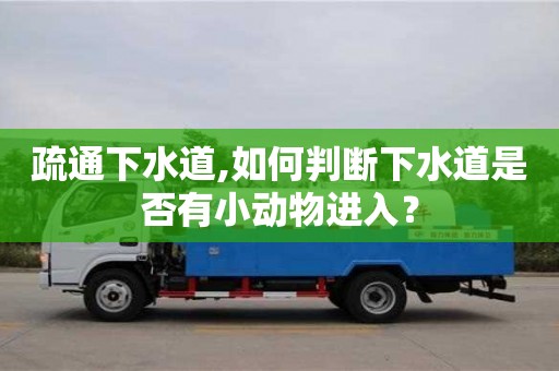 北京疏通下水道,如何判斷下水道是否有小動物進入？