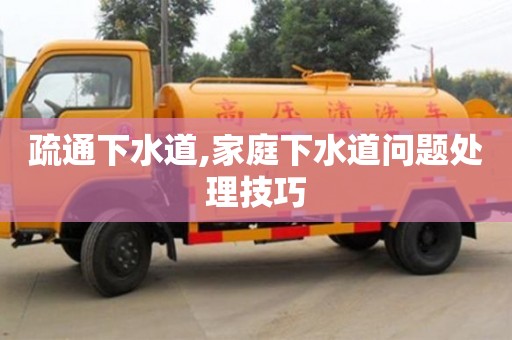 疏通下水道,家庭下水道問題處理技巧