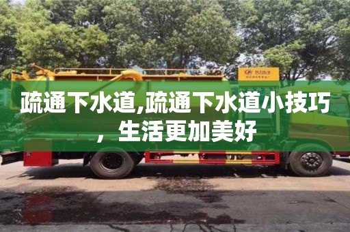 疏通下水道,疏通下水道小技巧，生活更加美好