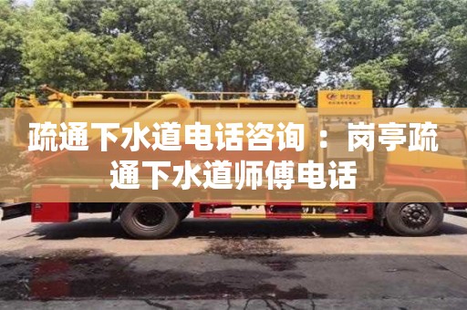 北京疏通下水道電話咨詢 ：崗?fù)な柰ㄏ滤缼煾惦娫? >
                        </div>
                        <div   id=