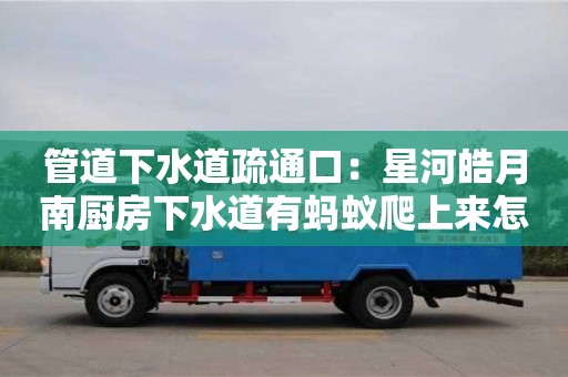 北京管道下水道疏通口：星河皓月南廚房下水道有螞蟻爬上來怎么清除