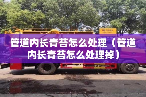 杭州管道內(nèi)長青苔怎么處理（管道內(nèi)長青苔怎么處理掉）