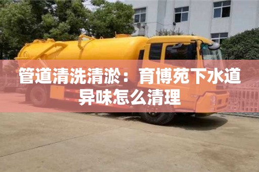 杭州管道清洗清淤：育博苑下水道異味怎么清理