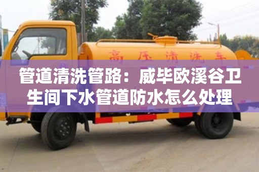 杭州管道清洗管路：威畢歐溪谷衛(wèi)生間下水管道防水怎么處理