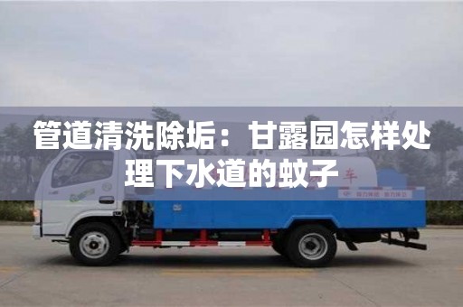 杭州管道清洗除垢：甘露園怎樣處理下水道的蚊子