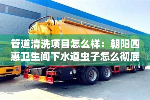 杭州管道清洗項目怎么樣：朝陽四惠衛生間下水道蟲子怎么徹底根除
