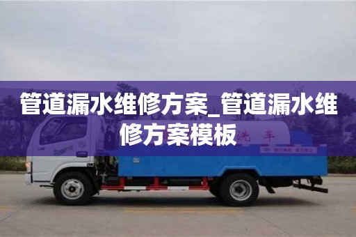 管道漏水維修方案_管道漏水維修方案模板