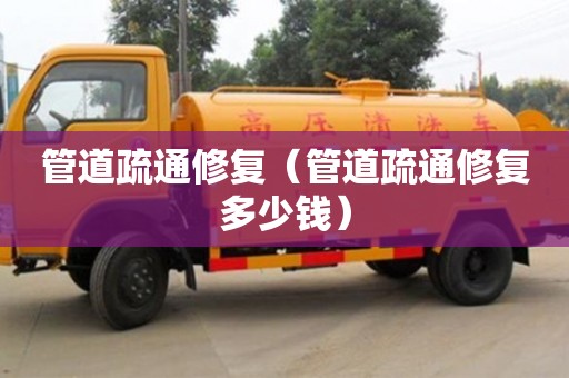 管道疏通修復(fù)（管道疏通修復(fù)多少錢）