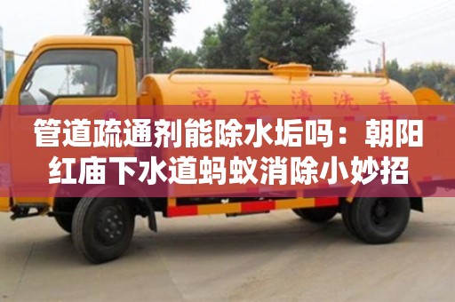 南昌管道疏通劑能除水垢嗎：朝陽紅廟下水道螞蟻消除小妙招