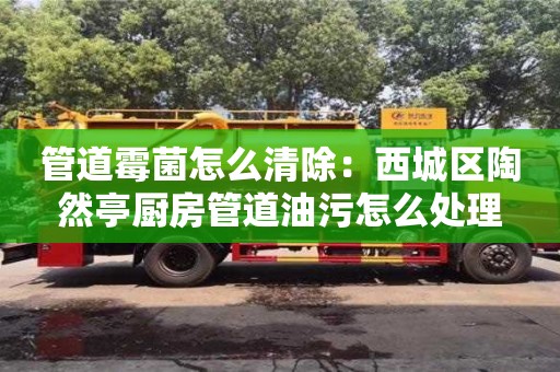 北京管道霉菌怎么清除：西城區(qū)陶然亭廚房管道油污怎么處理