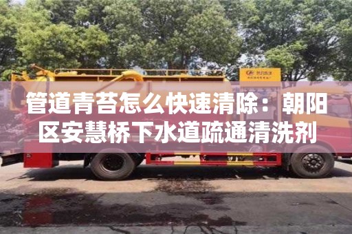 北京管道青苔怎么快速清除：朝陽區(qū)安慧橋下水道疏通清洗劑