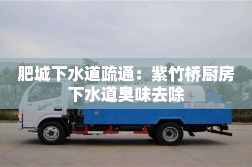 肥城下水道疏通：紫竹橋廚房下水道臭味去除