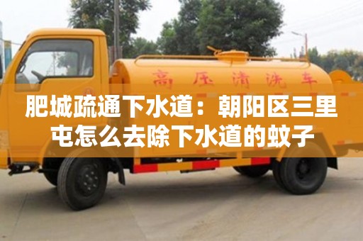 南昌肥城疏通下水道：朝陽(yáng)區(qū)三里屯怎么去除下水道的蚊子