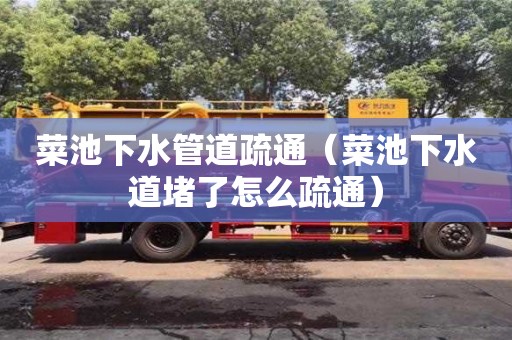 菜池下水管道疏通（菜池下水道堵了怎么疏通）