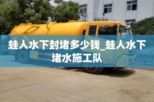 石家莊蛙人水下封堵多少錢_蛙人水下堵水施工隊