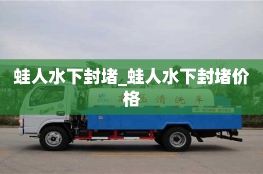 石家莊蛙人水下封堵_蛙人水下封堵價格