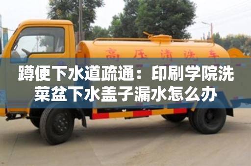 蹲便下水道疏通：印刷學院洗菜盆下水蓋子漏水怎么辦