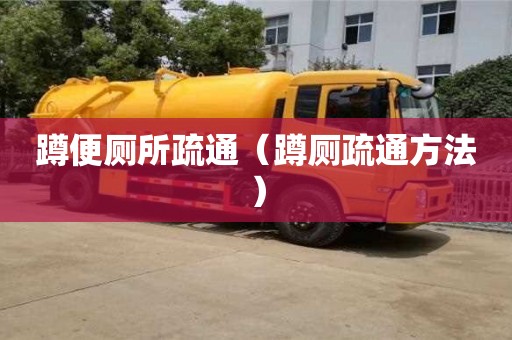 杭州蹲便廁所疏通（蹲廁疏通方法）
