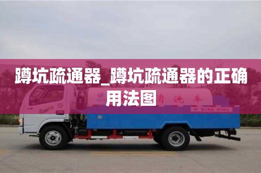 石家莊蹲坑疏通器_蹲坑疏通器的正確用法圖