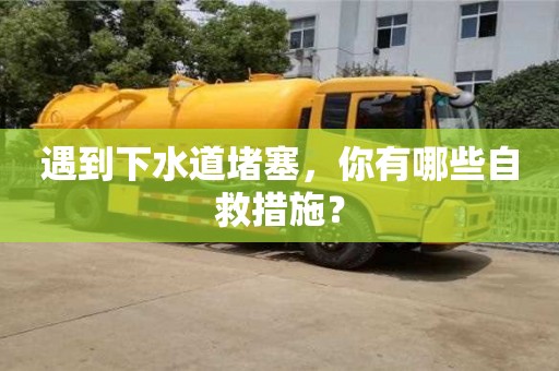 遇到下水道堵塞,你有哪些自救措施? 遇到下水道堵塞,你有哪些自救措施?
