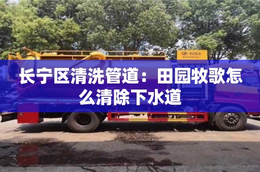 杭州長寧區清洗管道：田園牧歌怎么清除下水道