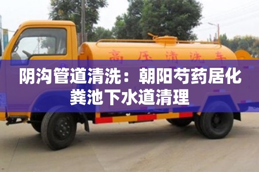 陰溝管道清洗：朝陽芍藥居化糞池下水道清理
